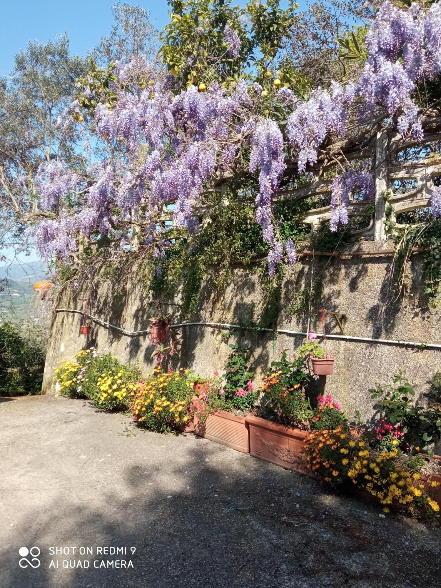 Belvedere Di Caiazzo Exteriör bild