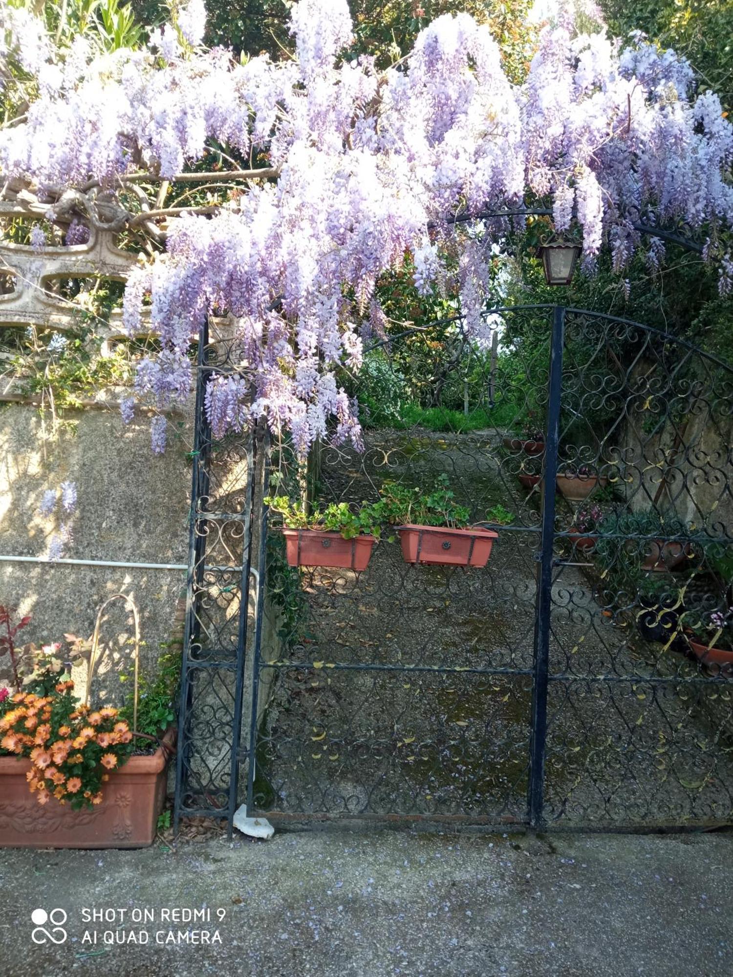 Belvedere Di Caiazzo Exteriör bild