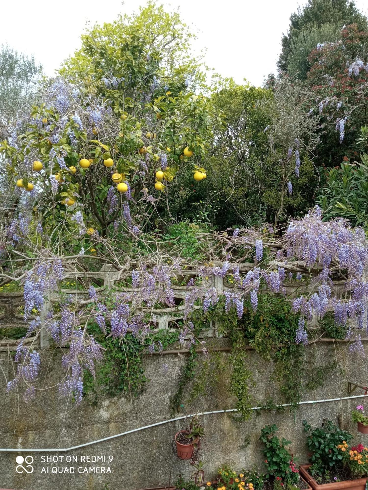 Belvedere Di Caiazzo Exteriör bild